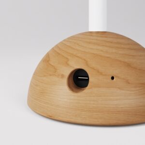 lampara-portatil-recargable-cabless12-con-lampara-colgante-y-predisposicion-pantalla (1)